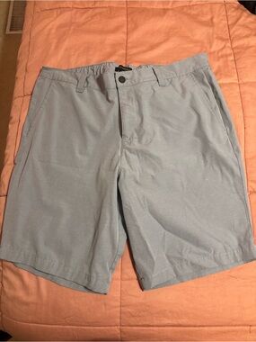 Banana Republic Light Gray Flat-Front Men's Shorts